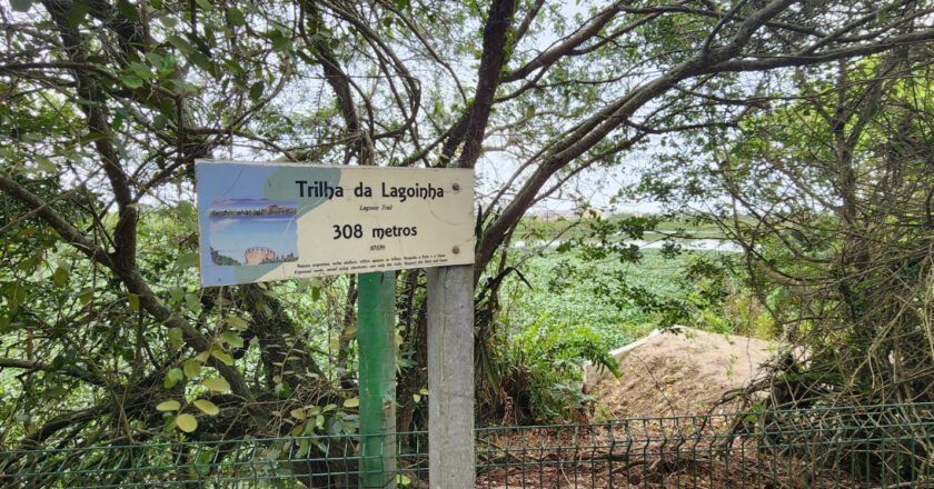 Prefeitura lança consulta pública para requalificação dos parques Bosque da Barra e Chico Mendes