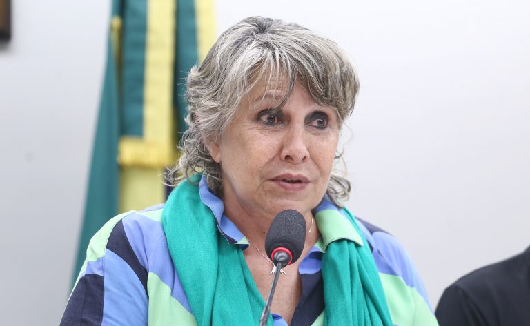 Deputada Erika Kokay (PT-DF) fala em comissão na Câmara dos Deputados