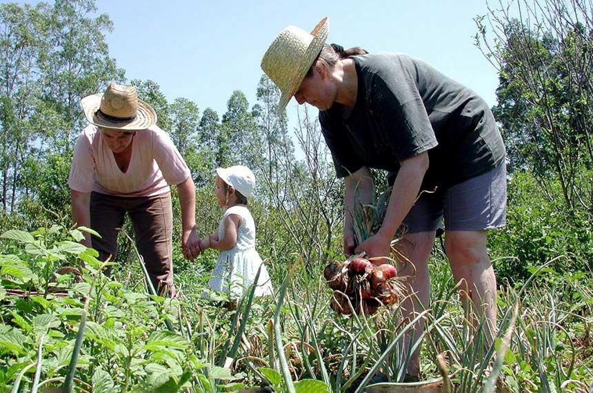 Pronaf e Plano Safra para agricultura familiar são transformados em lei