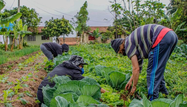 Sancionada lei que amplia acesso de agricultores familiares ao Garantia-Safra – Notícias