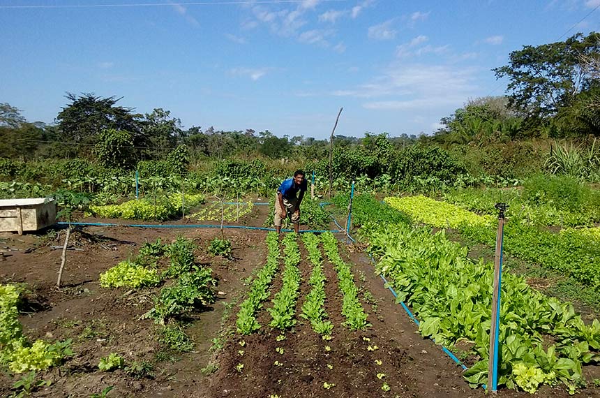 Sancionada lei que amplia acesso de agricultores familiares ao Garantia-Safra