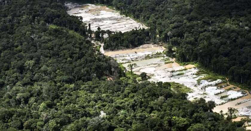 Cumbre Amazónica: ecologistas critican la falta de objetivos concretos