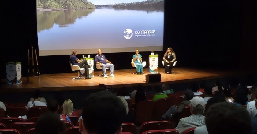 Especialistas em manguezais alertam dos riscos sem preservação do mar
