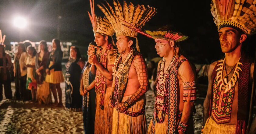 Indígenas reforestan la Amazonía en Acre, norte de Brasil