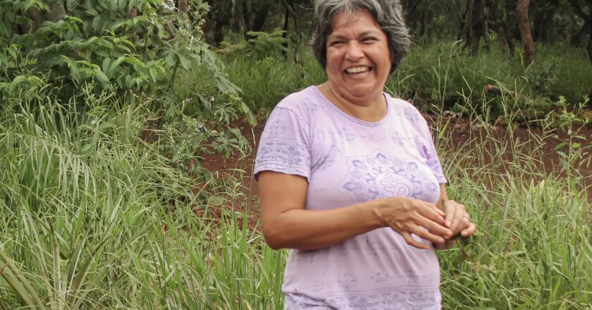 “Vamos continuar existindo”, afirma demógrafa sobre futuro indígena