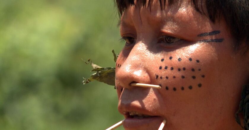 Estado brasileño de Amazonas tiene 17 lenguas oficiales