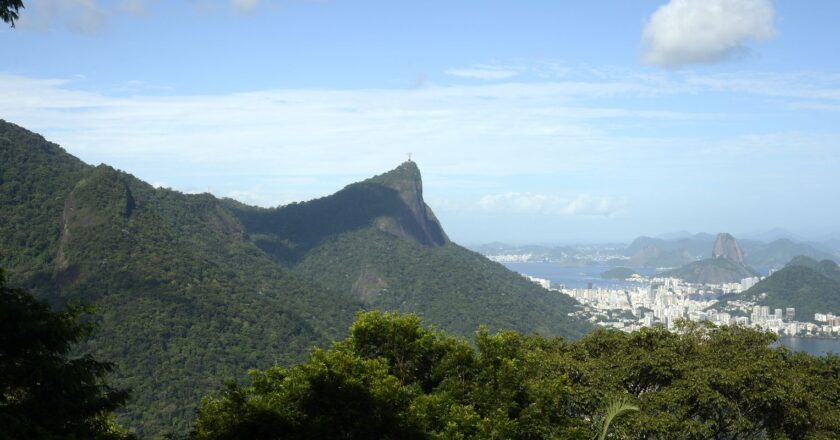 Só 6,9% das áreas urbanas do país são cobertas por vegetação