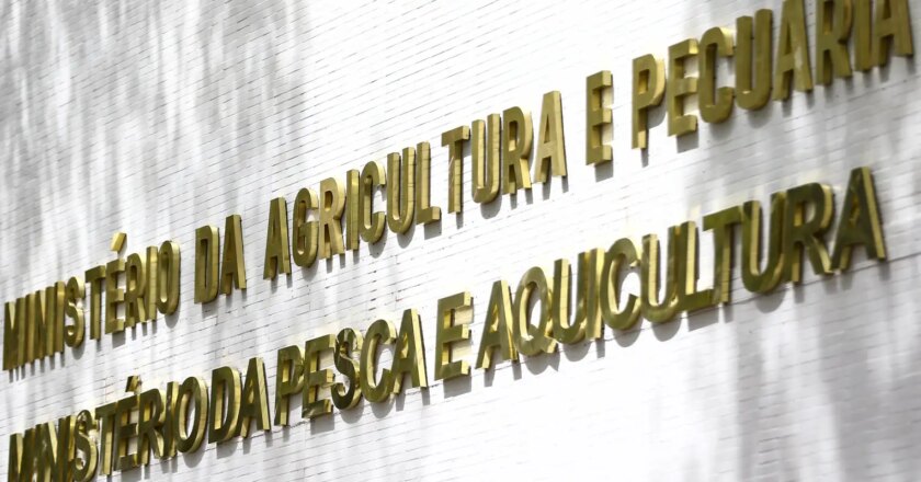 Gripe aviária leva o Paraná a decretar emergência zoossanitária