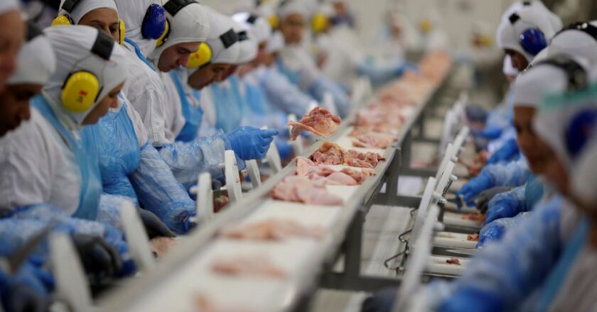 Brazil foresees surge in meat production and exports
