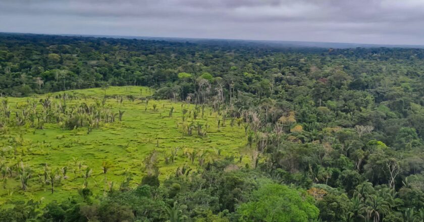 Entenda o que é e para que serve o mercado de carbono