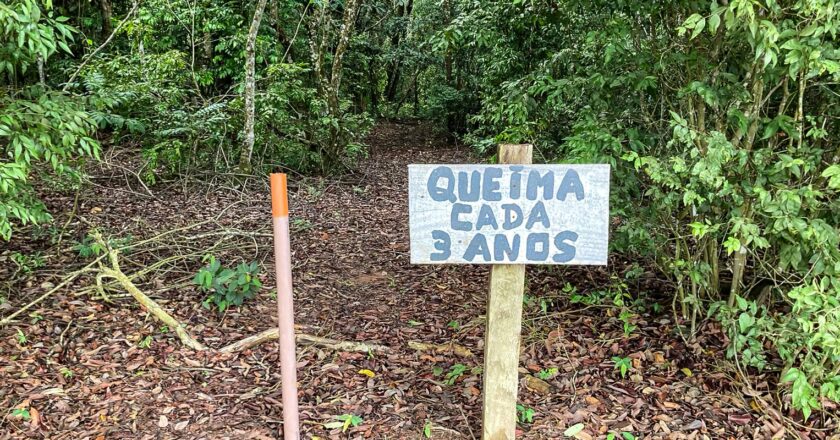 Laboratório a céu aberto permite pesquisas sobre queimadas