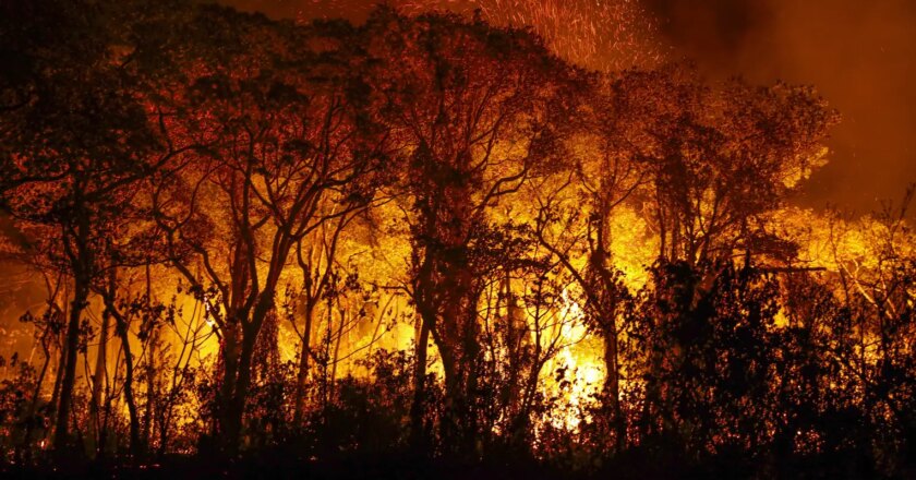Pantanal tem mais de 3 mil incêndios em novembro; recorde histórico
