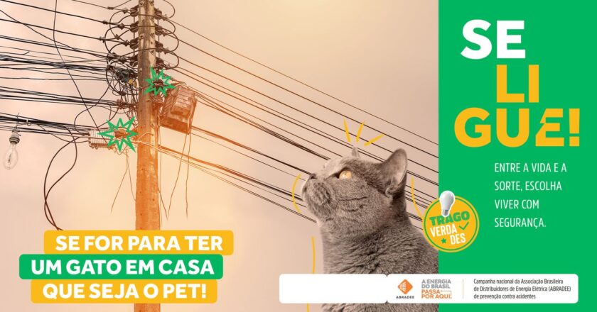 Agosto Vermelho busca conscientizar sobre acidentes com rede elétrica