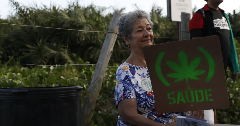 Uruguai: comércio legal de maconha supera 10 toneladas em seis anos