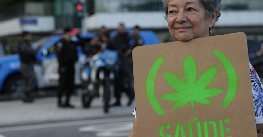 Expertos debaten sobre el acceso al cannabis medicinal en Brasil