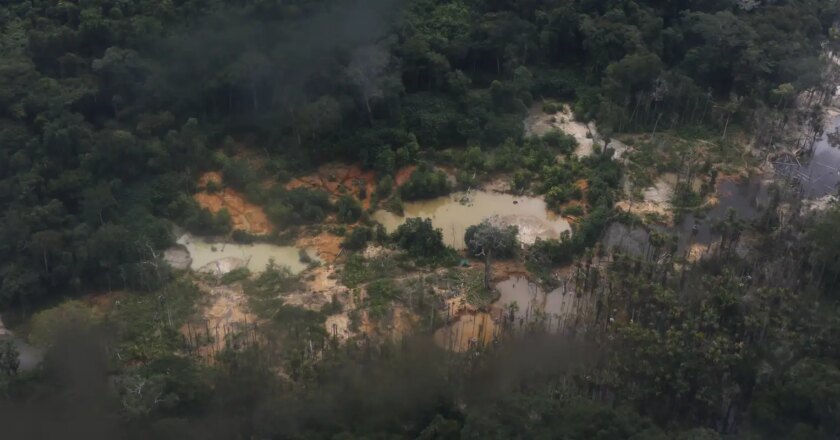 PF indicia 40 pessoas por garimpo ilegal em Roraima