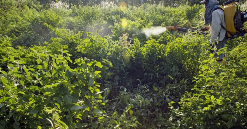 Sem acordo, votação do PL dos Agrotóxicos é adiada para terça-feira