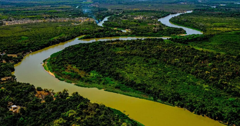 Projeto poderá ampliar proteção ao Pantanal