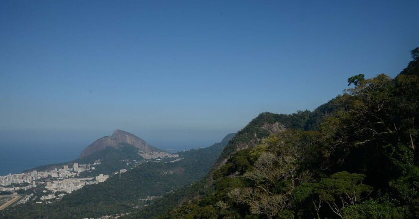 Parque Nacional da Tijuca completa 62 anos