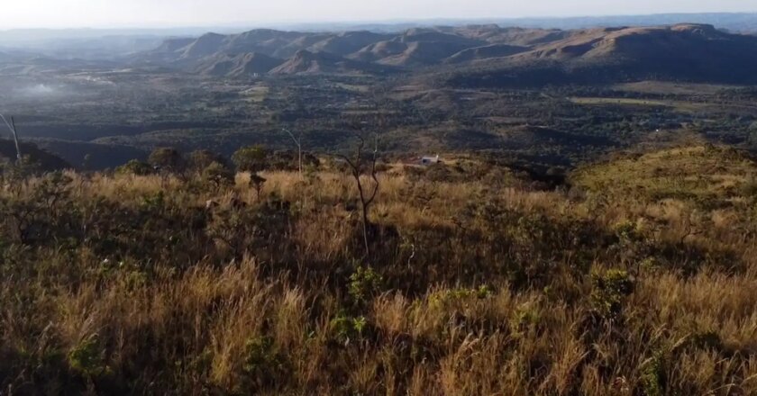 Preservação do Cerrado no DF é tema do Caminhos da Reportagem
