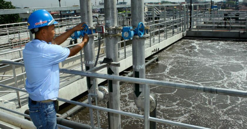 Estudio revela potencial del carbón de coco para descontaminar el agua