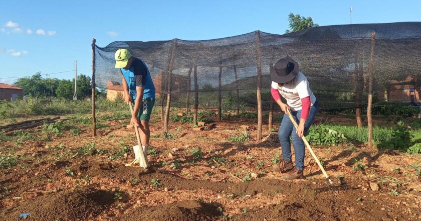 Trabalhadores pedem redução de juros para produzir alimentos no Brasil