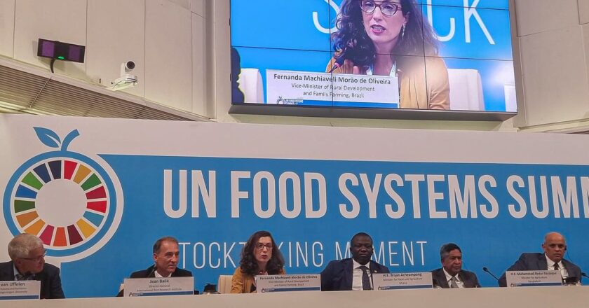 Brasil propõe associar agricultura familiar a comércio de alimentos