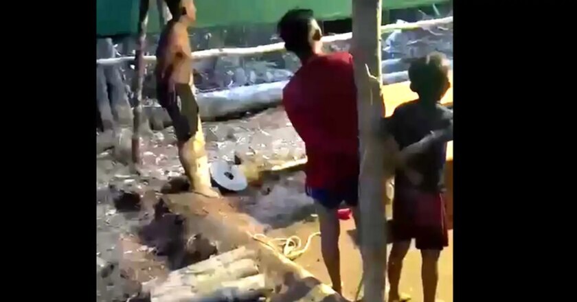 Entidades denunciam garimpeiros que teriam amarrado crianças yanomami