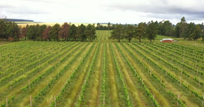 DPU pede ao Supremo expropriação de imóveis usados em trabalho escravo