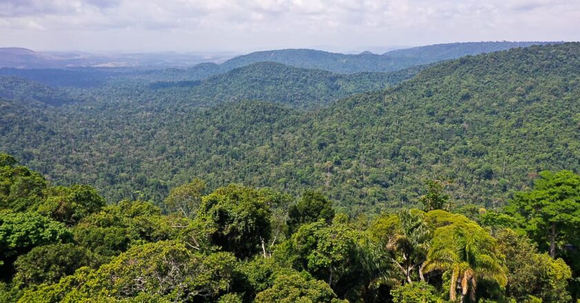 Lula insta a los países a ayudar a preservar el medioambiente