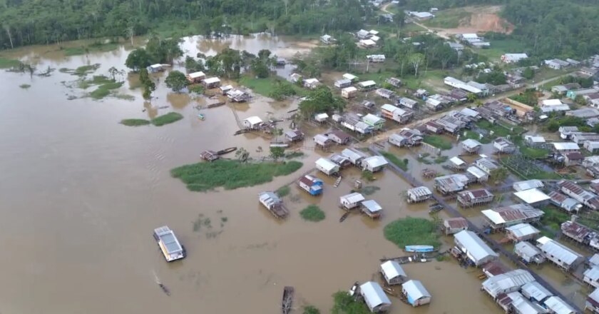 Javari: dados de Bruno Pereira podem embasar plano de segurança