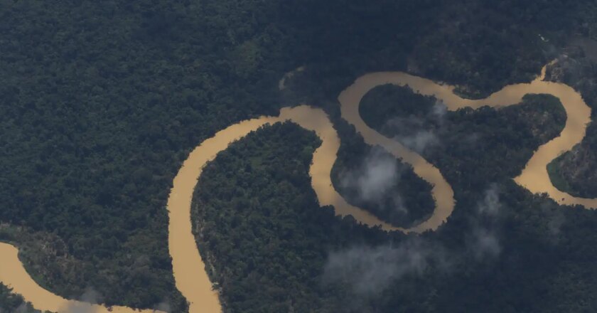 Indígenas denunciam assassinato de três yanomami em Roraima