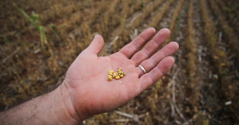 Comitiva vai ao Rio Grande do Sul para ver efeitos da seca