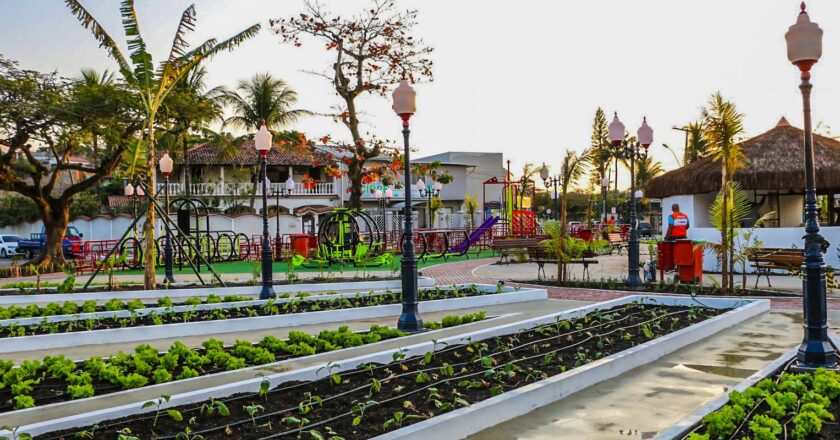 Cinco municípios apresentam programas de segurança alimentar na Europa