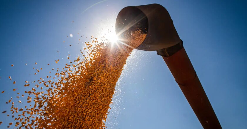 Conab estima produção de grãos em 315,8 milhões de toneladas