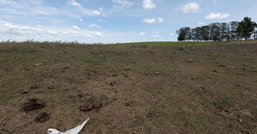 Governo lança plataforma para identificar vulnerabilidades climáticas