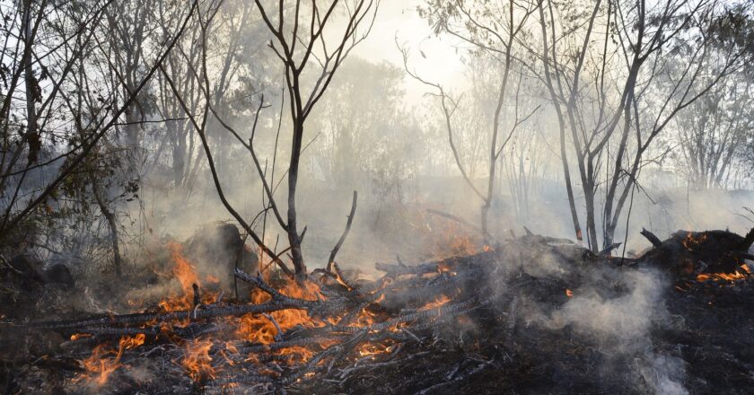 Em dois meses, fogo na Terra Indígena Yanomami cai 62%