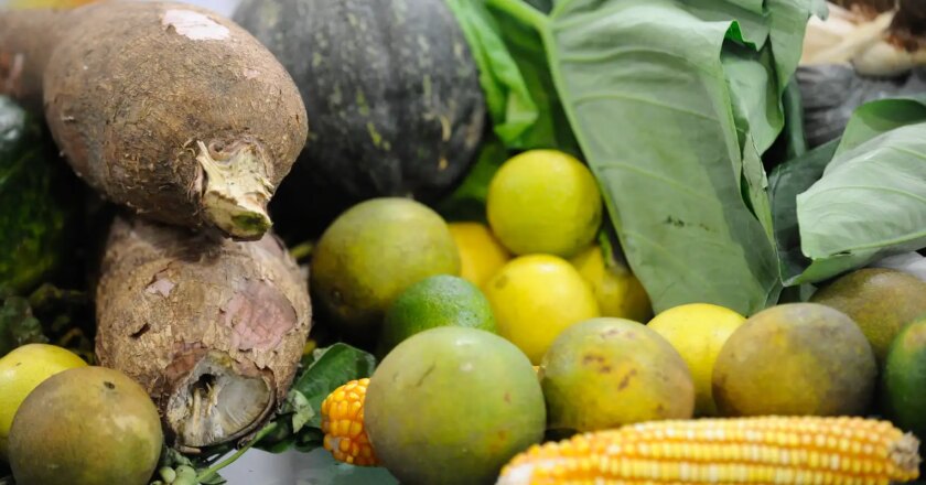 Brasileiros estão dispostos a pagar mais por alimentos saudáveis