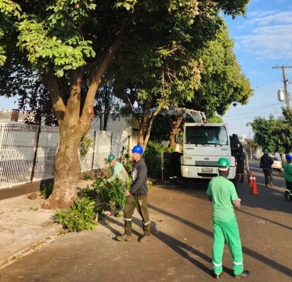 CMTU mantém vários serviços funcionando no feriadão da Consciência Negra