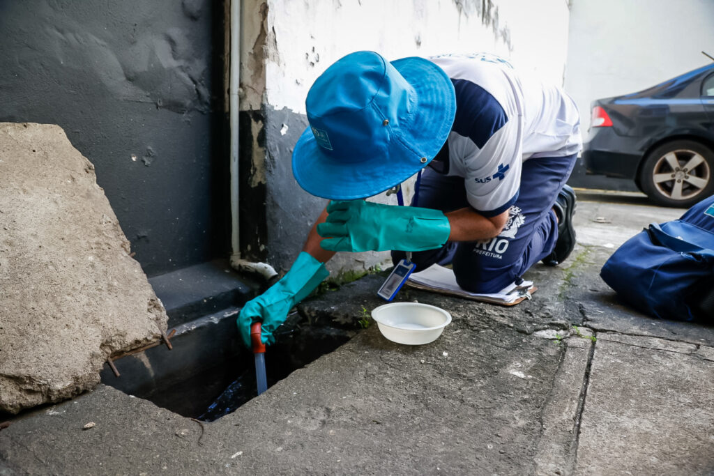 Dia Nacional de Combate à Dengue: prevenção e cuidado