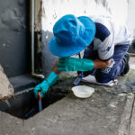 Dia Nacional de Combate à Dengue: prevenção e cuidado