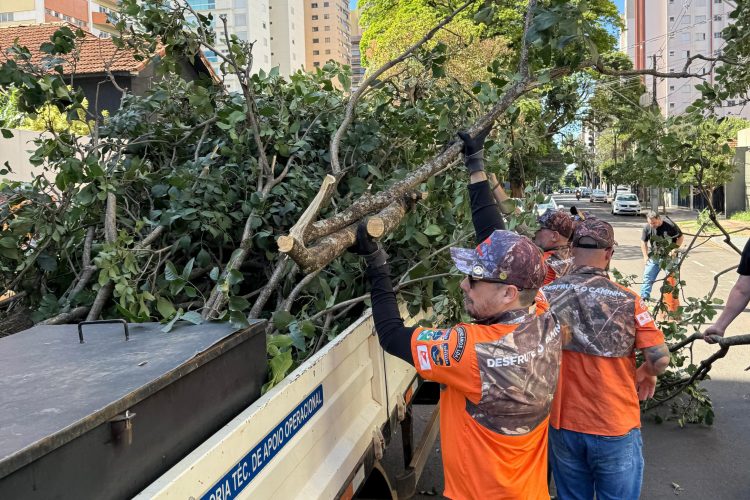 Força-tarefa da Prefeitura leva auxílio à população afetada pelas fortes chuvas