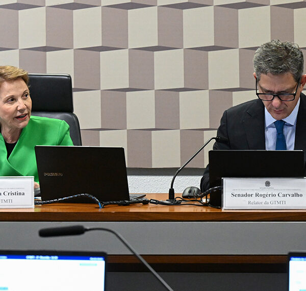 Grupo sobre mineração em terras indígenas aprova plano de trabalho