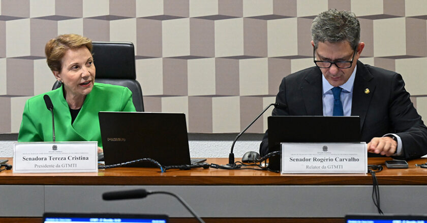 Grupo sobre mineração em terras indígenas aprova plano de trabalho