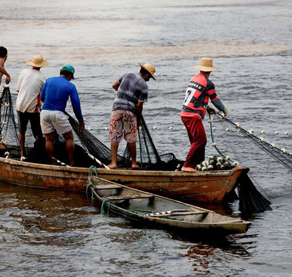 MP vincula pagamento de seguro-defeso a dados biométricos de pescadores