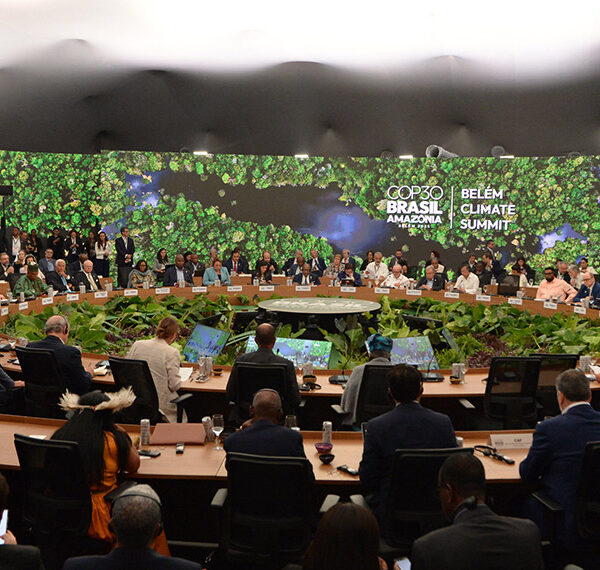 Senado participa da COP 30 em meio a uma agenda com urgência global