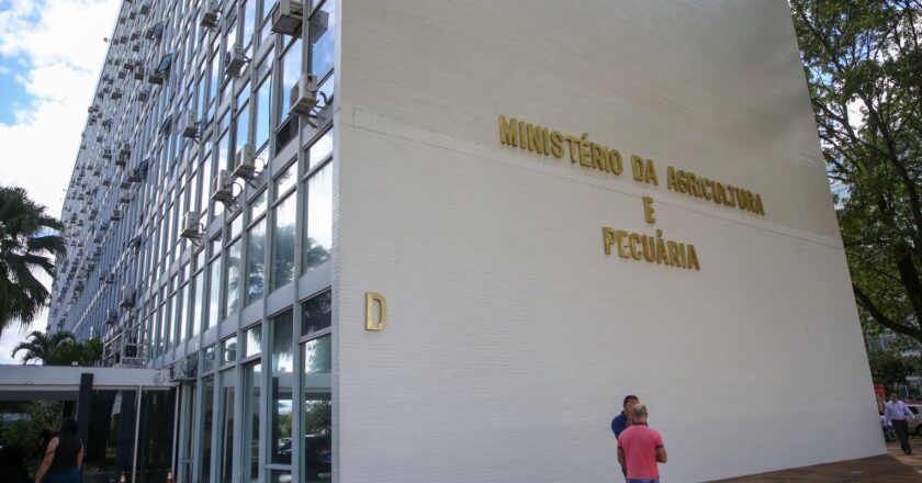 Minas Gerais registra primeiro caso de gripe aviária em pato