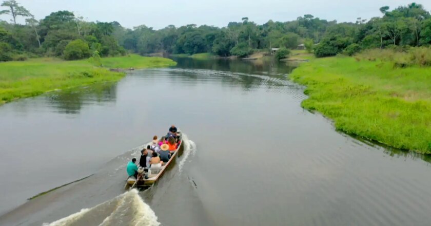 Manioc flour produced in Acre state boasts geographical indication tag