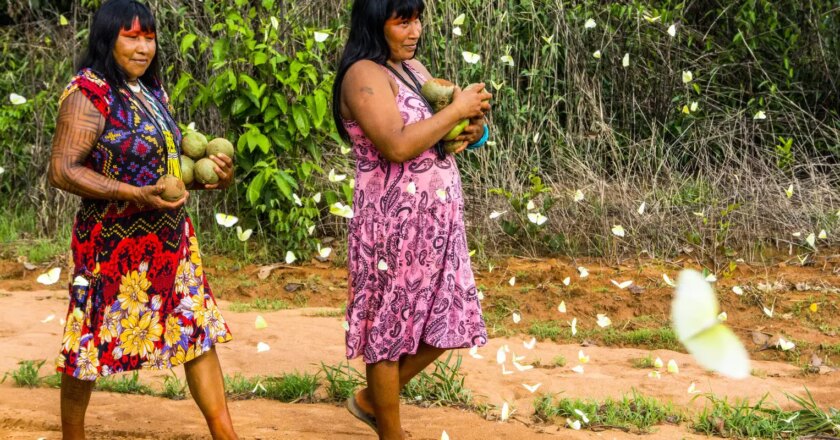 Fachin prorroga prazo para plano de proteção de indígenas isolados