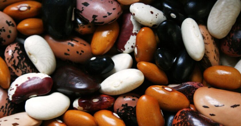 Governo manda recolher lotes de feijão impróprios para consumo